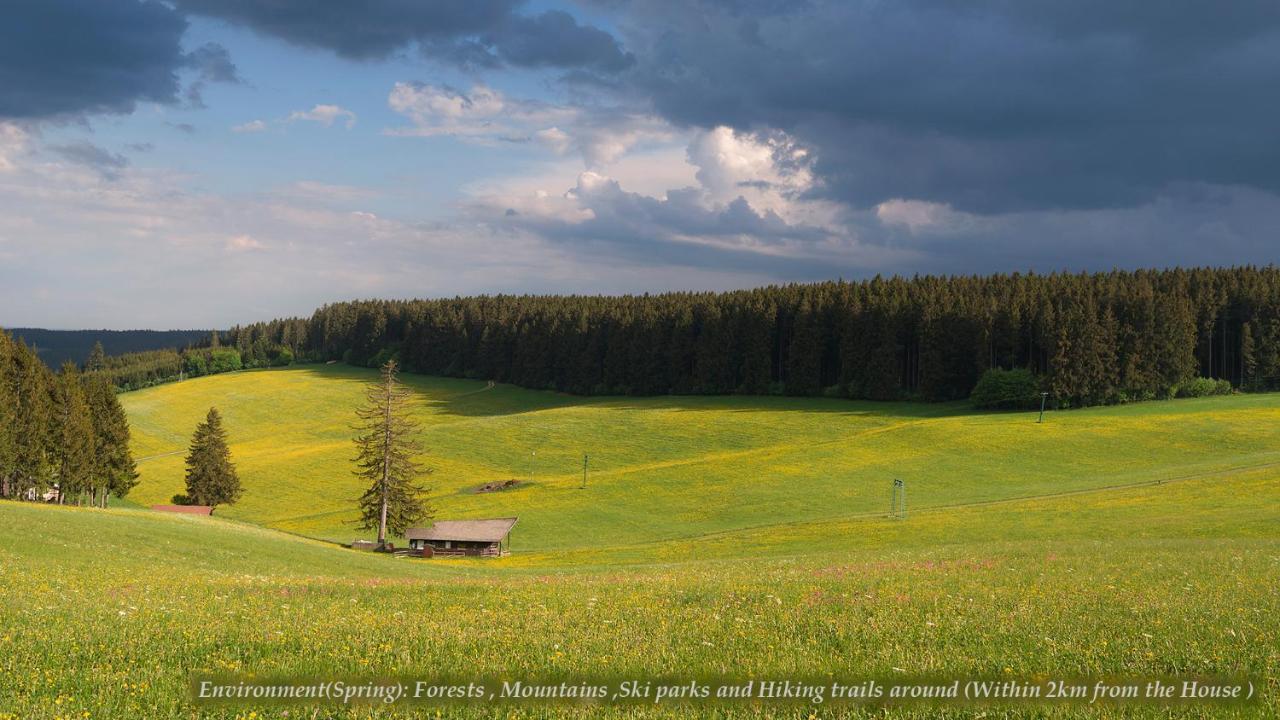 Entire House In Schwarzwald With Mountain View, Private Sauna, Gym, Garden And Terraces Unterkirnach Bagian luar foto