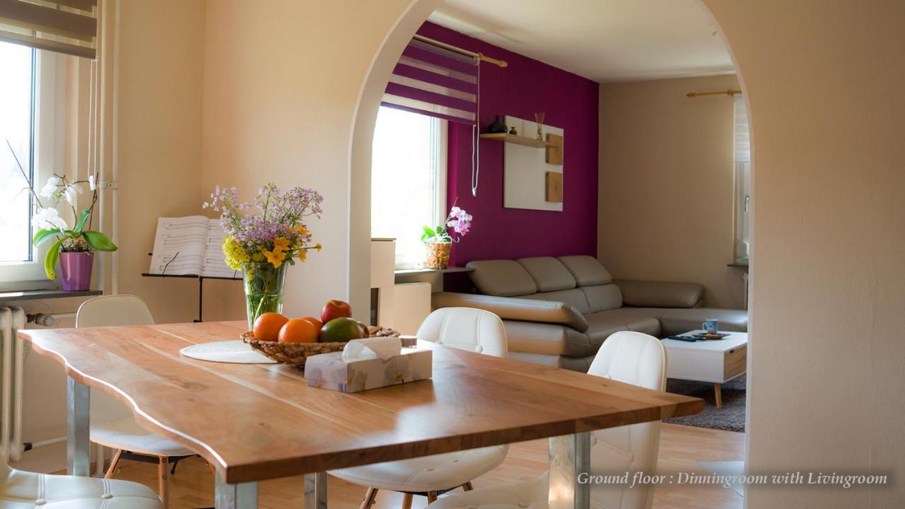 Entire House In Schwarzwald With Mountain View, Private Sauna, Gym, Garden And Terraces Unterkirnach Bagian luar foto