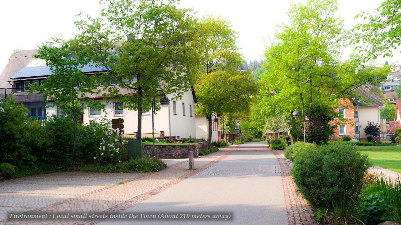 Entire House In Schwarzwald With Mountain View, Private Sauna, Gym, Garden And Terraces Unterkirnach Bagian luar foto