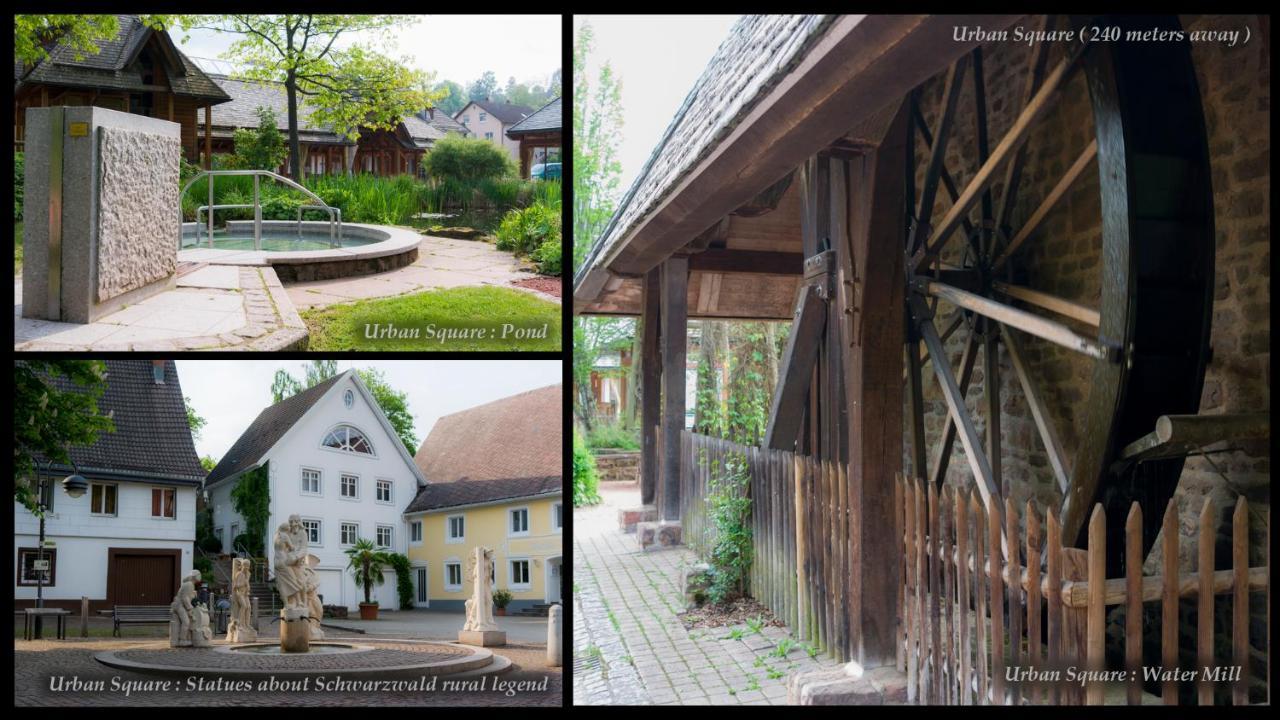 Entire House In Schwarzwald With Mountain View, Private Sauna, Gym, Garden And Terraces Unterkirnach Bagian luar foto